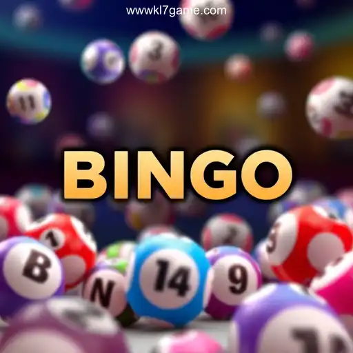 Exploring the Digital World of Online Bingo